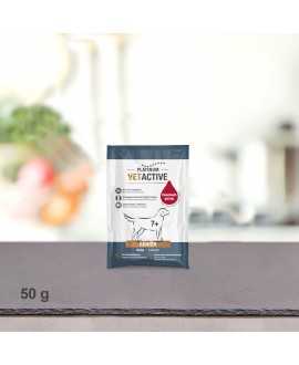 50 gram PLATINUM Vetactive Senior Hundefoder foderprøve