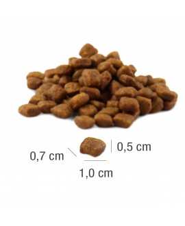 16 x 400 gram PLATINUM MeatCrisp Adult Iberico kattemad