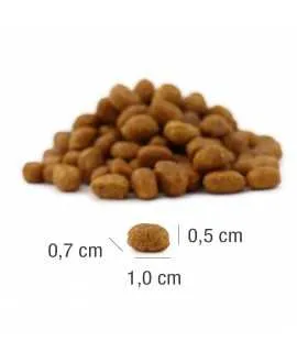 16 x 400 gram PLATINUM MeatCrisp Adult Fish kattemad Kattemad fra PLATINUM&nbsp;som din kat vil elske. For første gang har en Freshme