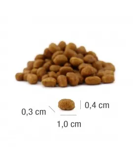 12 kg PLATINUM MeatCrisp Kitten Chicken killingemad Kattemad fra PLATINUM&nbsp;som din killing vil elske. For første gang har en Fres
