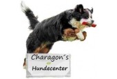 CHARAGON´S HUNDECENTER